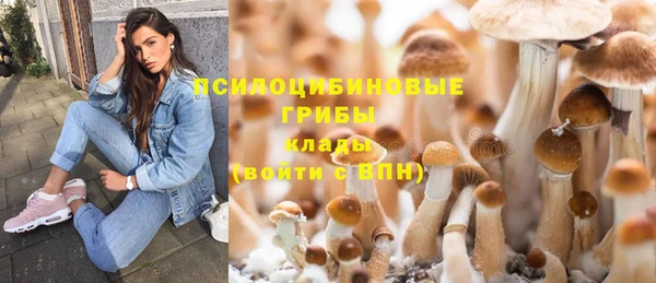 гашик Мегион